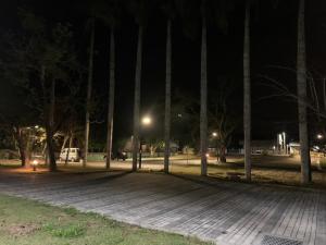 een park 's nachts met een bos bomen bij People Hostel Taiwan Image Calligraphy Museum in Baihe