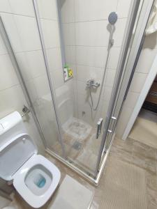 une salle de bain avec douche et toilettes dans l'établissement Apartman Matej, à Trebinje