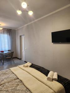 TV a/nebo společenská místnost v ubytování Garni Nature Villa