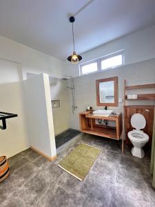 a bathroom with a toilet and a sink and a mirror at L'oiseau vert apartments in Rodrigues Island