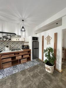 eine Küche mit einer Theke, einem Kühlschrank und einer Pflanze in der Unterkunft L'oiseau vert apartments in Rodrigues Island