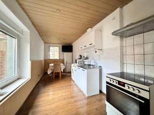Kuchyň nebo kuchyňský kout v ubytování Gästehaus EMELI