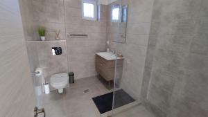 een badkamer met een douche, een toilet en een wastafel bij FRIENDS House - Central Station in Braşov