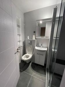 a small bathroom with a toilet and a sink at Viewpoint in Belgrade