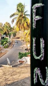 a view of a street with a palm tree at Funky Buddha Hostel in Mysore