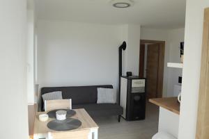 Kuchyň nebo kuchyňský kout v ubytování Apartmán na Karlíčku