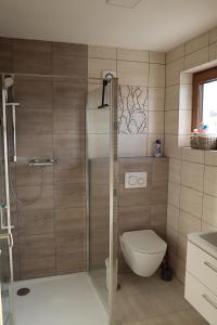 a bathroom with a shower and a toilet at Apartmán na Karlíčku in Karlov