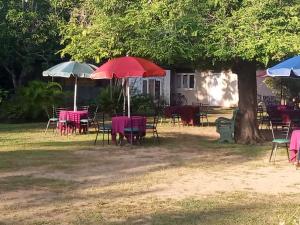 Κήπος έξω από το Visaka Hotel - Kataragama