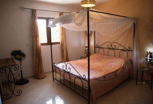 1 dormitorio con cama con dosel y ventana en Maison Jardin Botanique en Cap Skirring
