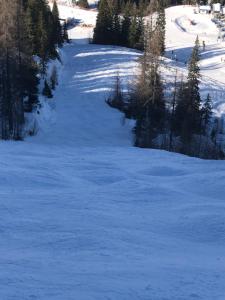 a snow covered ski slope with trees on it at Appartment Isabelle Sky in Presseggersee