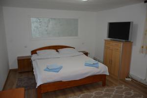 a bedroom with a bed with a flat screen tv at Pensiunea Poiana in Borşa