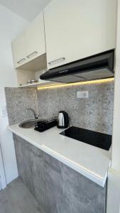 a kitchen counter with a sink and a stove at STR Apartment in Tivat