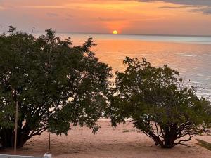 two trees on the beach with a sunset in the background at Pousada Olivas do Tapajós in Belterra