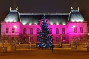 a christmas tree in front of a building with pink lights at rhoazon heart in Rennes