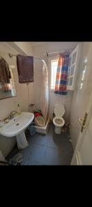 a bathroom with a sink and a toilet at شالية قرية اللوتس in El Alamein