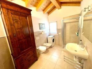 een badkamer met een toilet, een douche en een wastafel bij Ledrobenessere in Pieve Di Ledro