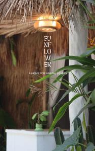 Sunflower Guesthouse and Animal Rescue - Koh Lipe في كو ليبي: ضوء معلق على طاولة مع نبات