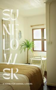sypialnia z łóżkiem i rośliną w pokoju w obiekcie Sunflower Guesthouse and Animal Rescue - Koh Lipe w mieście Ko Lipe