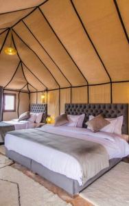 Gallery image of Camp Sahara Tours Merzouga in Merzouga