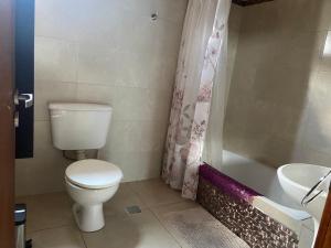 康科迪亞的住宿－V&V House，一间带卫生间和水槽的浴室