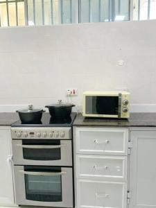 Il comprend une cuisine équipée d'un four micro-ondes et de 2 casseroles. dans l'établissement BUDGET HOMES ZANZIBAR, à Ngambo