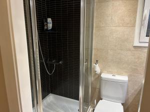 a bathroom with a toilet and a glass shower at Centro in Sant Cugat del Vallès