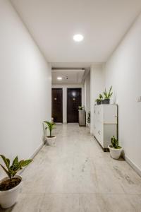 古爾岡的住宿－Lime Tree Service Apartment Golf Course Road, Gurgaon，建筑里空荡荡的走廊,有盆栽植物