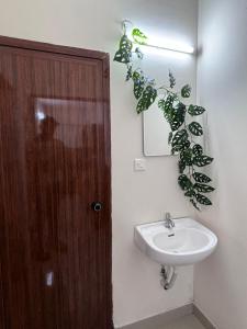 a bathroom with a sink and a plant on the wall at Airport Freshups Cochin in Nedumbassery