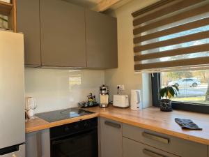 een keuken met een aanrecht met een wastafel en een raam bij Bear House in Sigulda