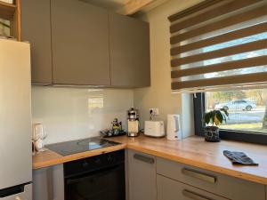 a kitchen with a counter with a sink and a window at Bear House in Sigulda