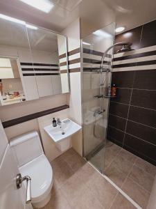 ein Bad mit einer Dusche, einem WC und einem Waschbecken in der Unterkunft Emotional House - Night view, Full Options, One Bedroom in Incheon