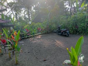 Fotografie z fotogalerie ubytování Purana Guest House v destinaci Tabanan