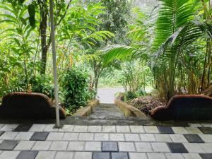 Entire Private Guest House Munnar في مونار: طريق من خلال حديقة بها أشجار نخيل ونباتات