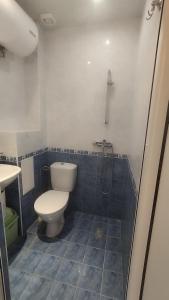 a bathroom with a toilet and a shower at Antorino in Balchik