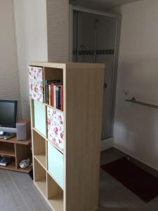ein Bücherregal mit Büchern und einem Fernseher in einem Zimmer in der Unterkunft Beiknüvi in Schönbach