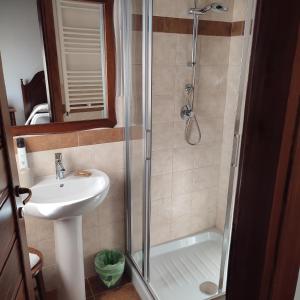 a bathroom with a shower and a sink at Il Casale della Biodiversità in Scanzano