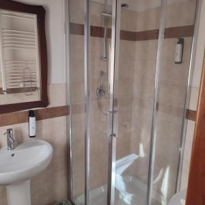 a bathroom with a shower and a sink at Il Casale della Biodiversità in Scanzano