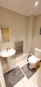 a bathroom with a toilet and a sink at Stunning Apartment overlooking Pembroke Castle in Pembroke