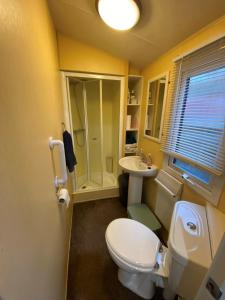 y baño con aseo y lavamanos. en Secluded Woodland Hideaway - 2 Bed with Private Parking en Emsworth
