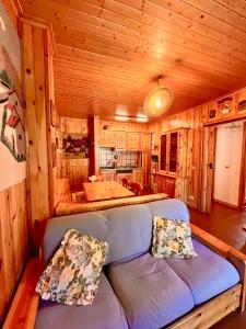 un soggiorno con divano blu in una cabina di Dolcevita house in Camigliatello a Camigliatello Silano