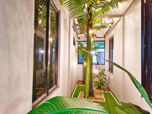 una habitación con una palmera en el balcón en Salaam Suites Hotel en Kota Bharu