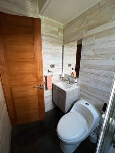 La salle de bains est pourvue de toilettes blanches et d'un lavabo. dans l'établissement Cómodo y lindo departamento en el centro de vicuña, à Vicuña