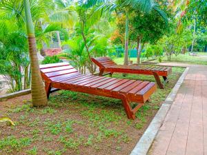 three wooden benches sitting next to a palm tree at Pride Rock Villa in Sigiriya