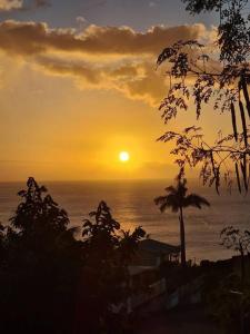 a sunset over the ocean with a palm tree at Ti Sicriers Carbet in Le Carbet