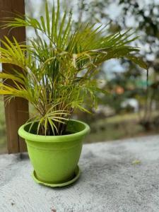 Zahrada ubytování Ti Sucrier Jaune - Douceur caraïbe vue mer