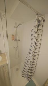 a bathroom with a shower with a shower curtain at Escale à Boinville in Prunay-le-Gillon