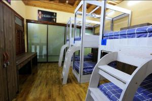 Μία ή περισσότερες κουκέτες σε δωμάτιο στο Yellow Hostel Dushanbe