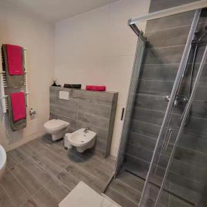 a bathroom with a shower and a toilet and a sink at Apartmány Louka in Vaclavov u Bruntalu