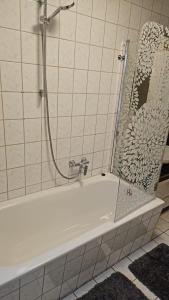 bañera con ducha y puerta de cristal en FeWo Wieko Plauen Leibnizstr. H1, 2.OG rechts, en Plauen