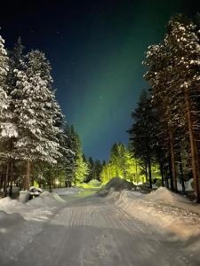 eine schneebedeckte Straße mit Bäumen in der Nacht in der Unterkunft Ojuspirtti 26B Levi in Levi